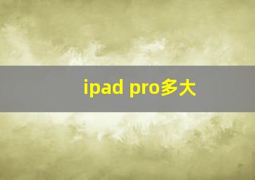 ipad pro多大